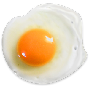 Fried egg PNG-61094